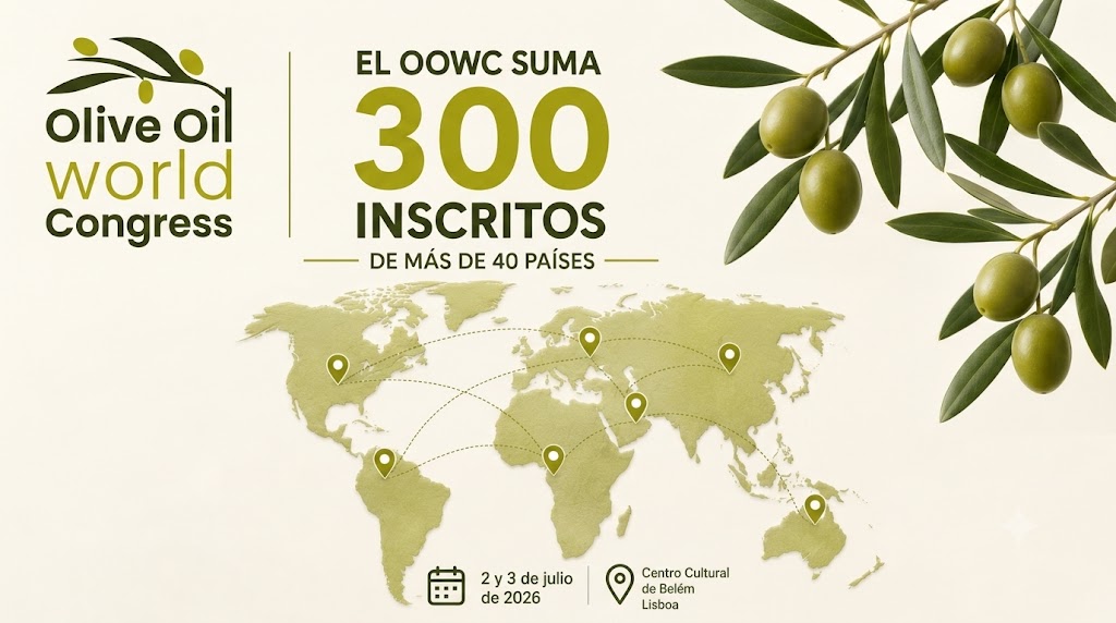 olive oil world.jpg